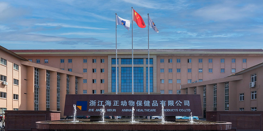 9dbacecba6dd9d8115a7a9451e655df6