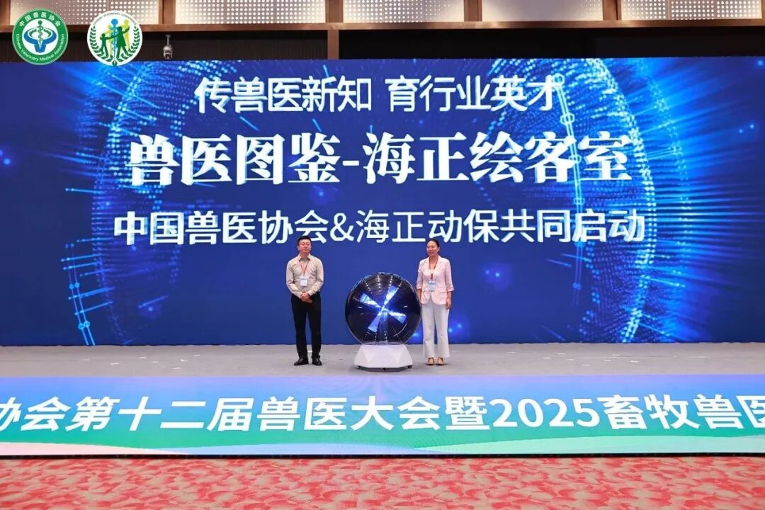 UEDЯйҽЭ“ҽͼ-UED”ҽְҵֵƪ£