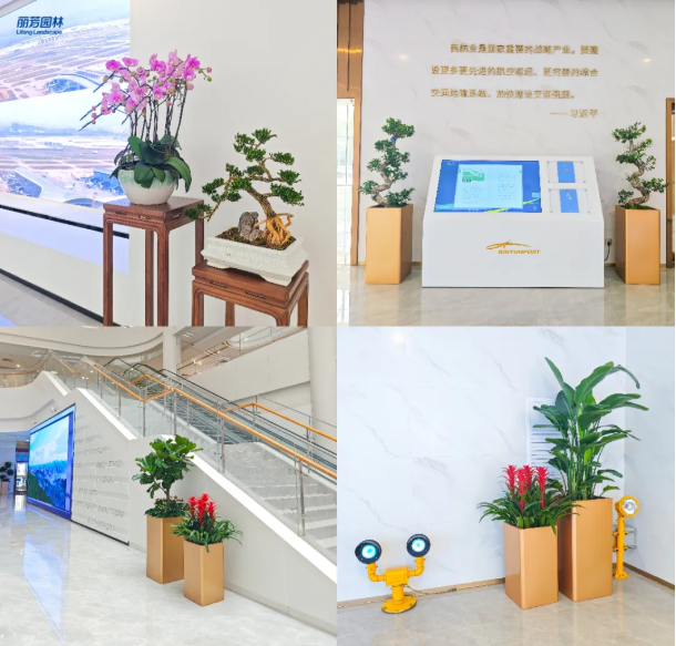AG8亚洲国际游戏集团_首页官网
