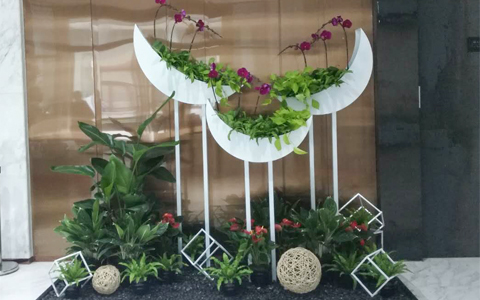 花卉摆放公司上门免费设计 绿植租赁价钱？