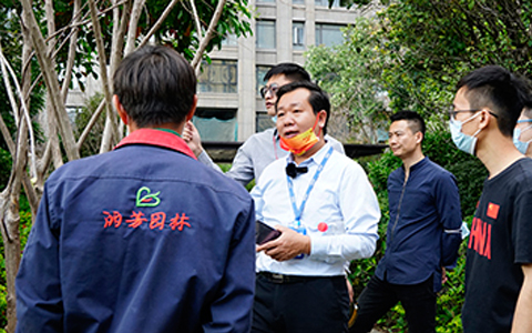 科学养护 规范治理｜丽芳公司开展绿化修剪培训