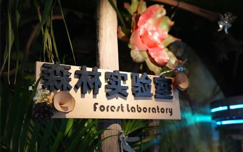 优异组景大赏，手艺大赛园林与园艺康养组景获奖作品