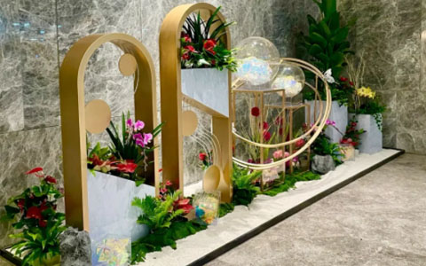 室内绿植景观设计，写字楼绿植租摆几多钱?