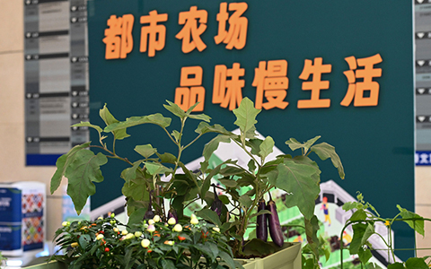 AG8亚洲国际游戏集团“都会农场”走进珠江新城CBD写字楼，邀您来体验！