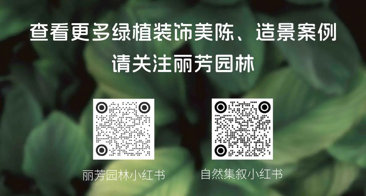 AG8亚洲国际游戏集团_首页官网