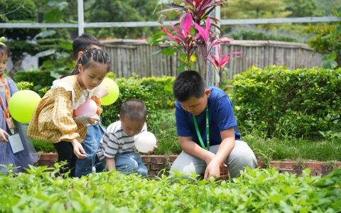 运动预告 | 这个炎天，多场自然教育运动将在AG8亚洲国际游戏集团园艺康养科普基地精彩上演