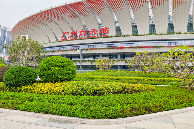 广州白云站综合交通枢纽效劳中心绿化养护