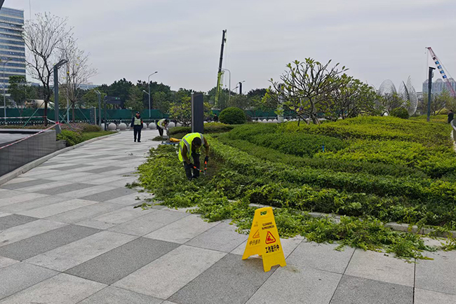 广州白云站综合交通枢纽效劳中心绿化养护